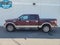 2009 Ford F-150 XL